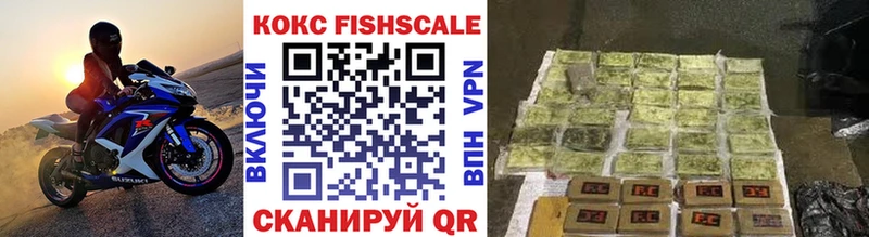купить наркотик Приволжск Cocaine Fish Scale