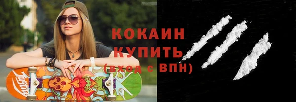шишки Аркадак