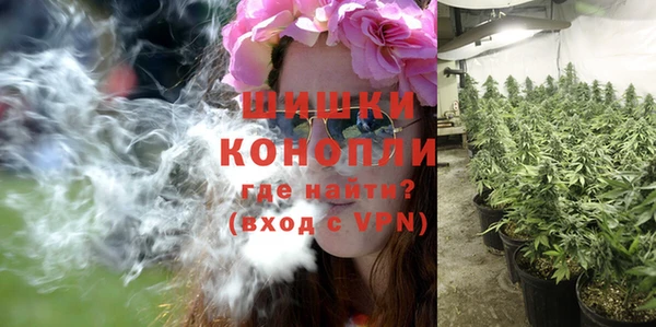 шишки Аркадак
