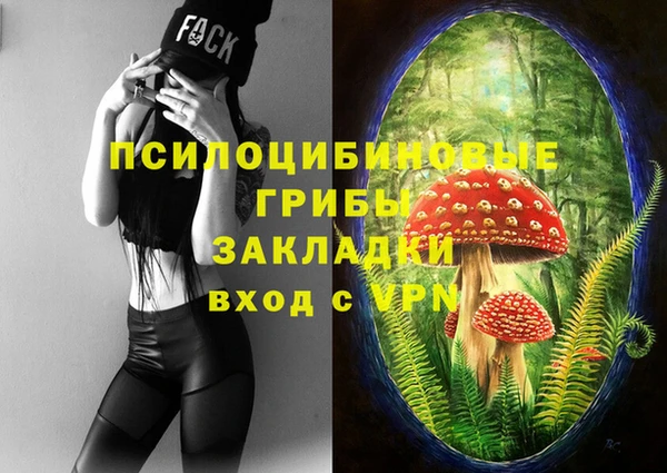 шишки Аркадак